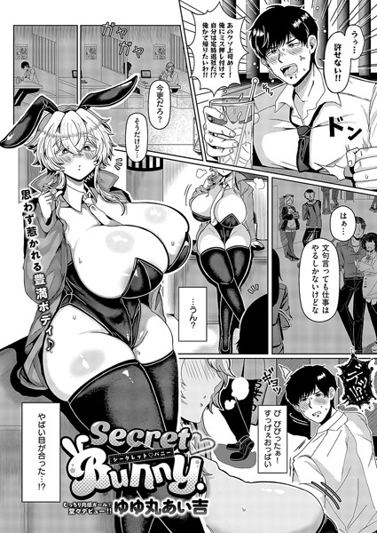 SecretBunny エロ漫画のトップ画像